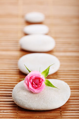 Spa stone and flower rose
