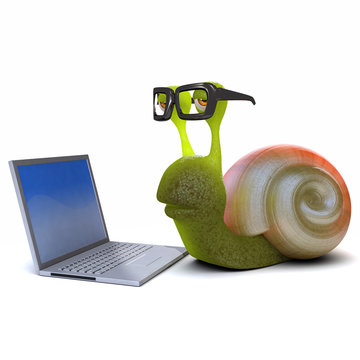 3d Snail goes on the interweb
