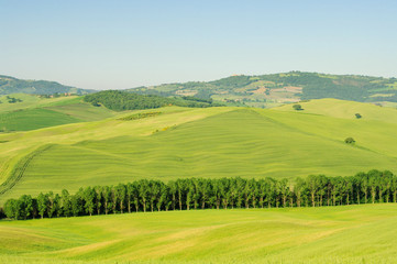 Fototapeta na wymiar Toskana Huegel - Tuscany hills 28