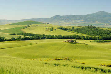 Fototapeta na wymiar Toskana Huegel - Tuscany hills 29