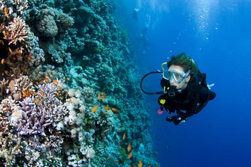 Foto op Canvas female scuba diver © JonMilnes