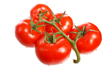 fresh tomatoes on the white background