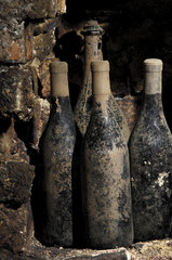 Old Bottle Wine