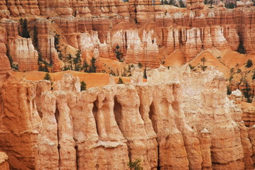 Rock formations in Bryce canyon
