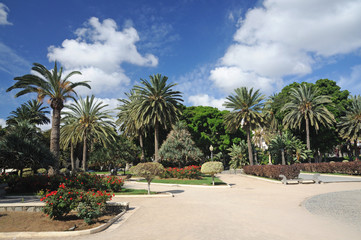 Fototapeta na wymiar Doramas Park in Las Palmas de Gran Canaria, Spain