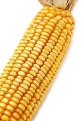 corncob