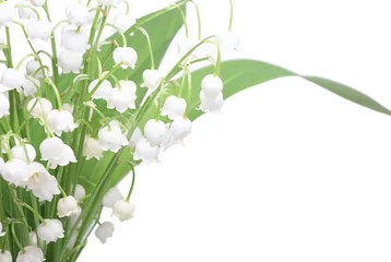 Peel and stick wall murals Lily of the valley Lily of the valley