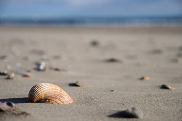 Französischer-Strand-05