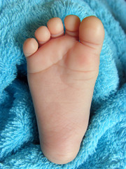 pied bébé baby's foot