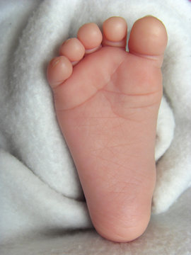 pied b&eacute;b&eacute; baby's foot