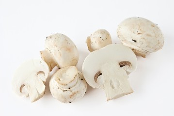 Portabello Mushrooms over white.