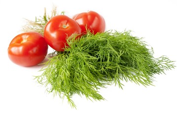 dill with tomato over white.