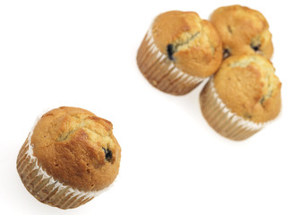 Blueberry Muffins
