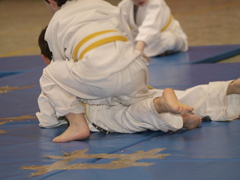 Llave de judo