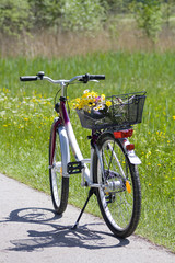 Obraz premium bicycle with flowers in the basket