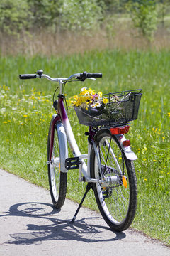 bicycle with flowers in the basket
