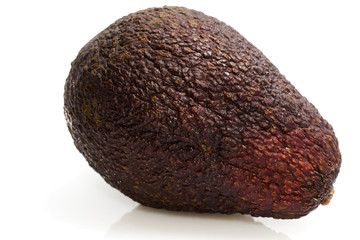 avocat sur fond blanc