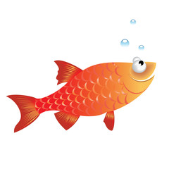 Funny fish