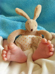 pieds de bébé et son doudou lapin