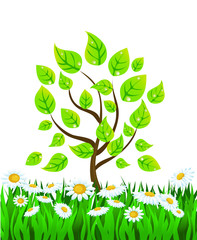 vector summer background with tree