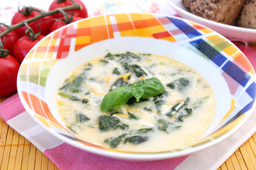 spinatsuppe