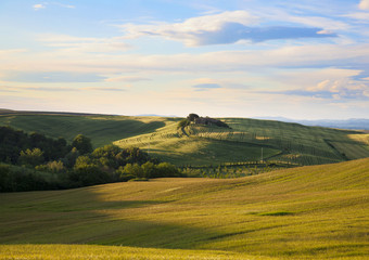 Fototapeta premium Tuscany Landscape