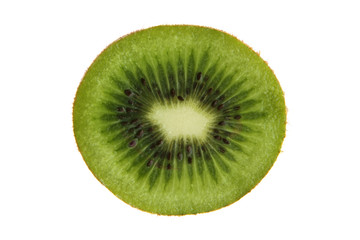 kiwi 1_0484