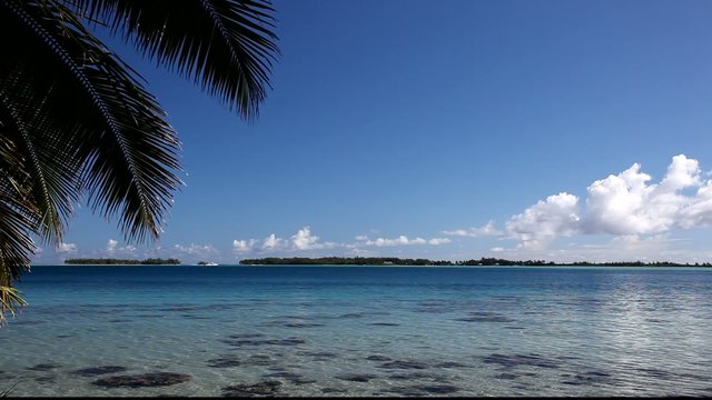 Motus in Bora Bora