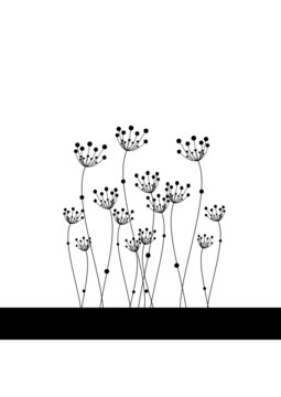 fondo floral