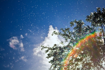 Ansicht von Baum und Himmel mit starkem Pollenflug, Linsenreflexion in Regenbogen Farben unten...