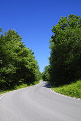 winding tarmac road in forest region, bright blue sky