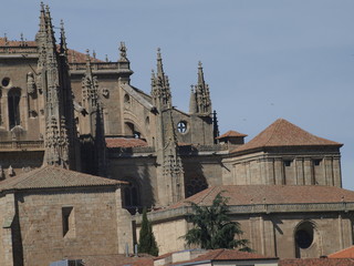 Detalle de la Catedral Nueva de Salamanca