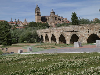 Catedral Nueva de Salamanca y puente medieval