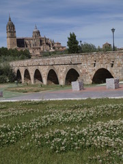 Obraz premium Catedral Nueva de Salamanca y puente medieval