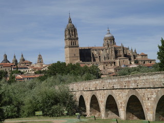 Catedral Nueva de Salamanca y puente medieval