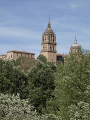 Torre de la Catedral Nueva de Salamanca desde el Tormes