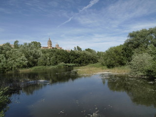 Catedral Nueva de Salamanca desde el Tormes