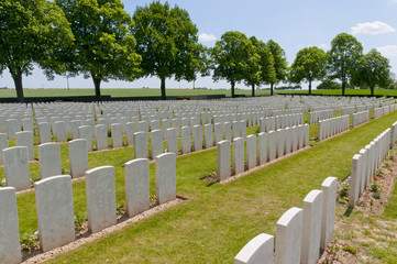 Fototapeta na wymiar Delville Wood (Wielka Brytania, Delville Wood Cmentarz Wojskowy
