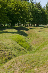 Mémorial Terre-Neuvien et vestiges de tranchées - Beaumont-Hamel