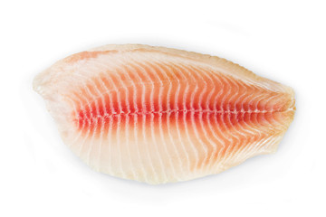tilapia