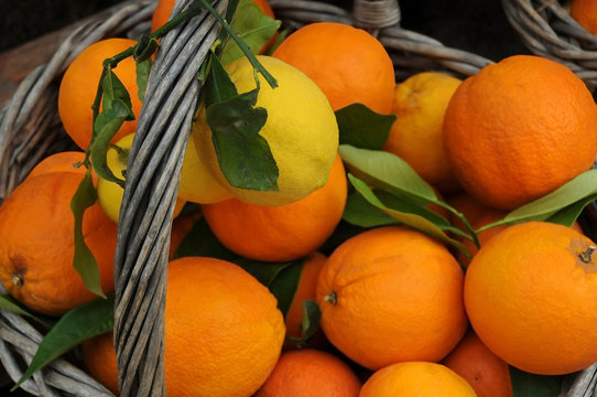 Closeup Oranges and Lemons in the Basket