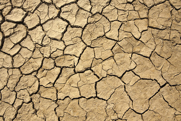 dry earth texture
