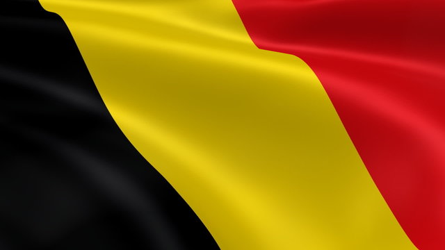 Belgian flag in the wind. Part of a series.
