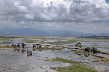 Fototapeta na wymiar Inle Lake (podczas sezonu monsunowego) w Birmie (Myanmar)