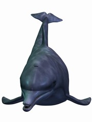 Delphin