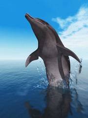 Delphin © Andreas Meyer