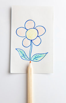 scketch of flower over a pencil