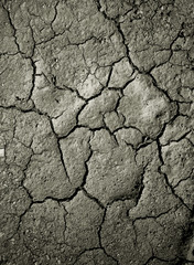 Drought
