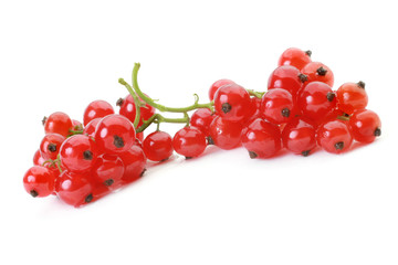 Red currant isolated on white background