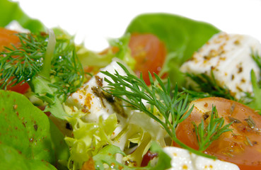 salade 14